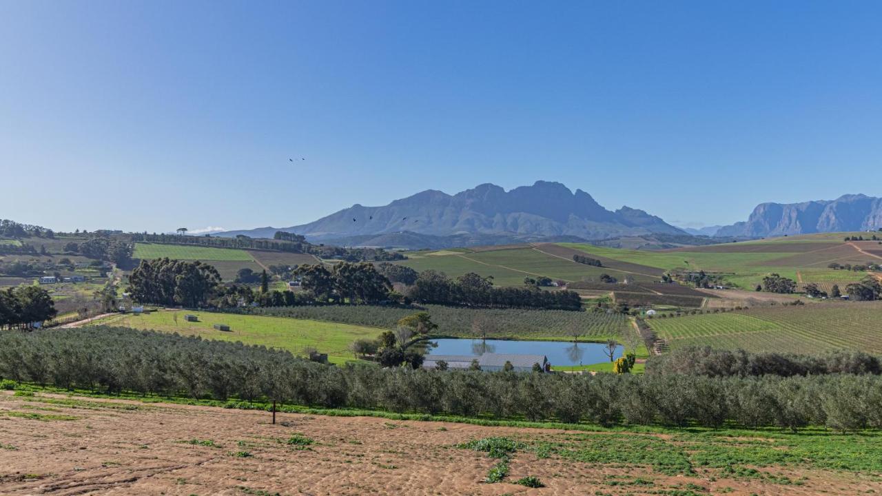 The Salene Hotel & Apartments Stellenbosch Kültér fotó